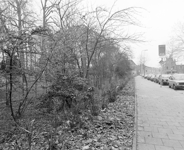 881649 Afbeelding van het plantsoen langs de begraafplaatsen aan de Gansstraat te Utrecht.